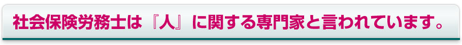 社会保険労務士は『人』に関する専門家と言われています。